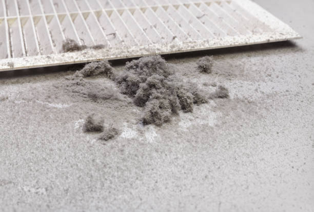Best Affordable Air Duct Cleaning  in Inglis, FL