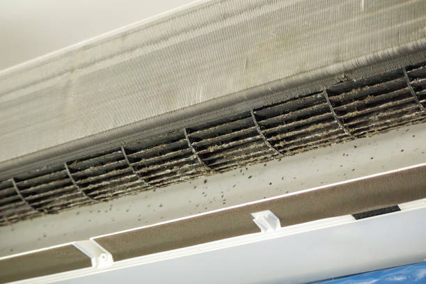 Best HVAC Air Duct Cleaning  in Inglis, FL